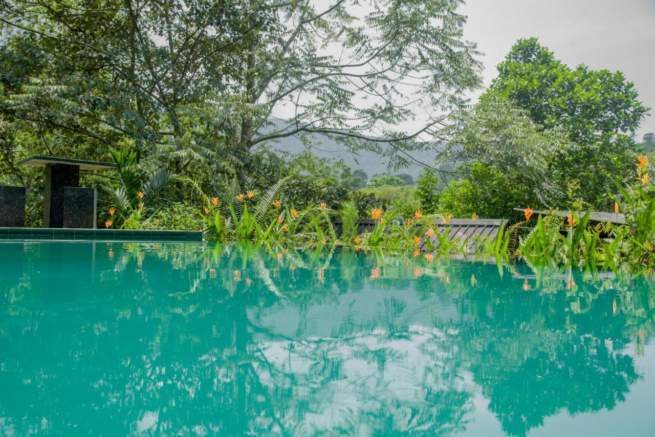 Sinharaja Forest Gate Deniyaya Exteriér fotografie