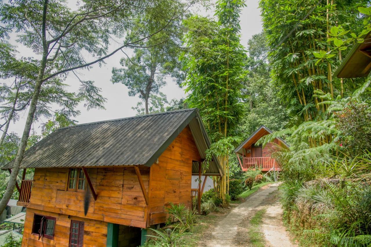 Sinharaja Forest Gate Deniyaya Exteriér fotografie