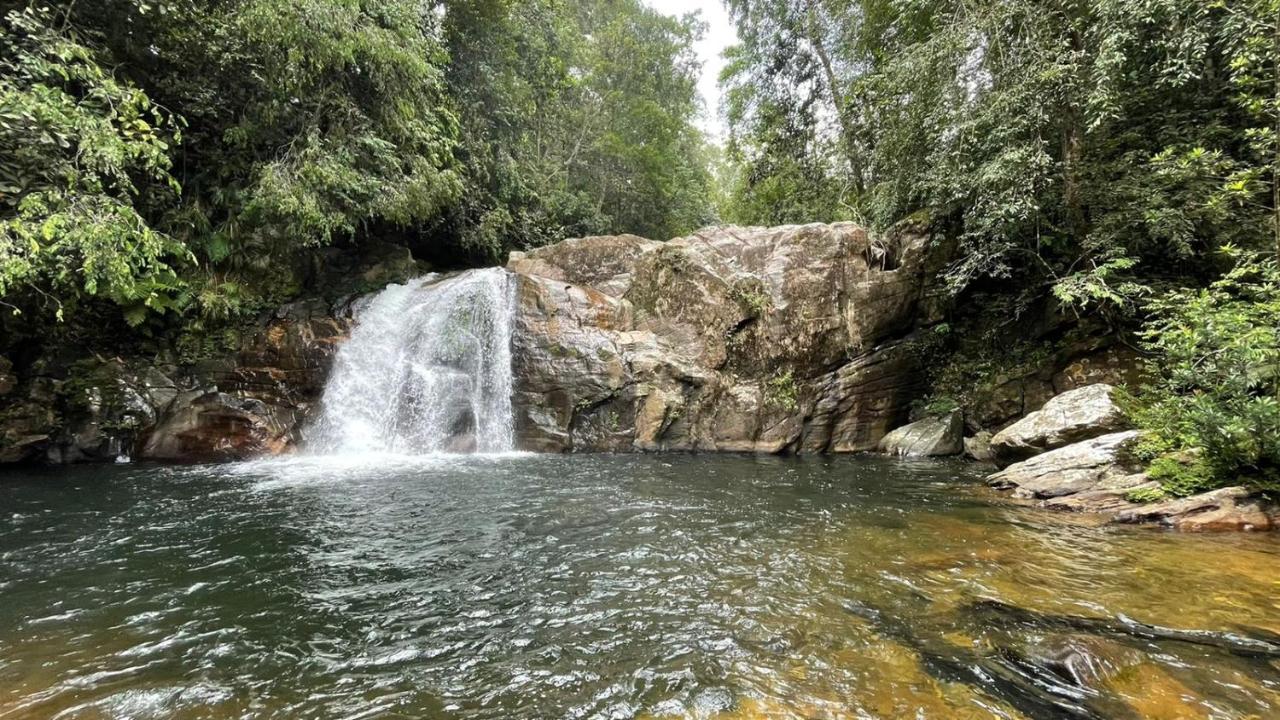 Sinharaja Forest Gate Deniyaya Exteriér fotografie