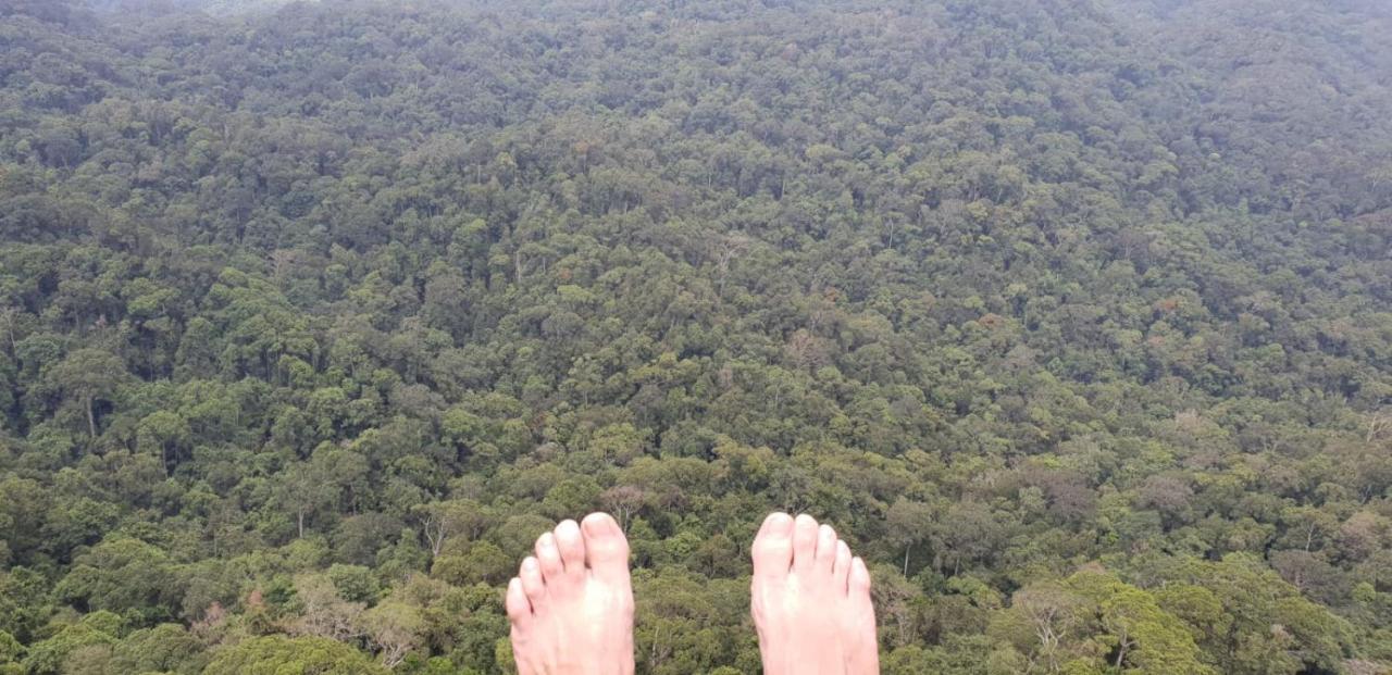 Sinharaja Forest Gate Deniyaya Exteriér fotografie
